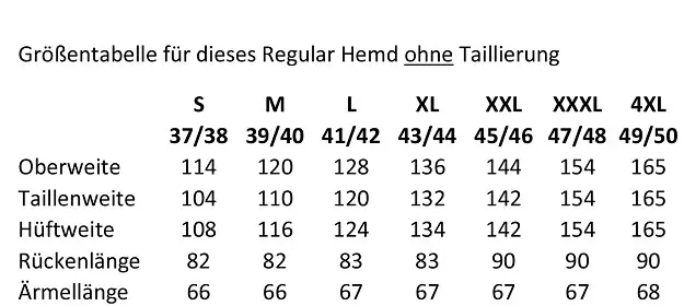 Hemd Arido 12 Biesen, weiß