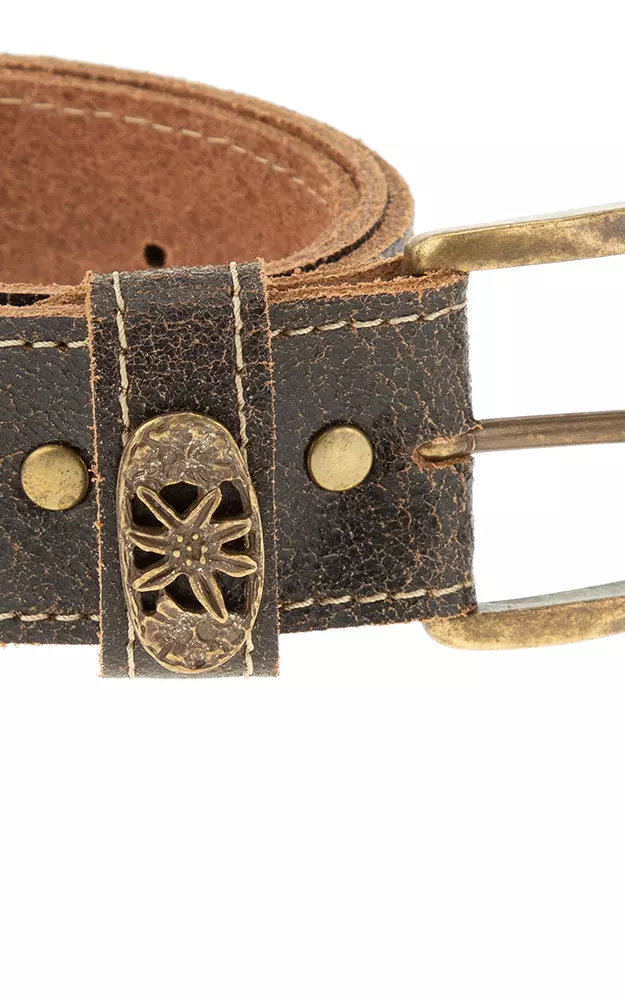 Herrengürtel 03933, dunkelbraun